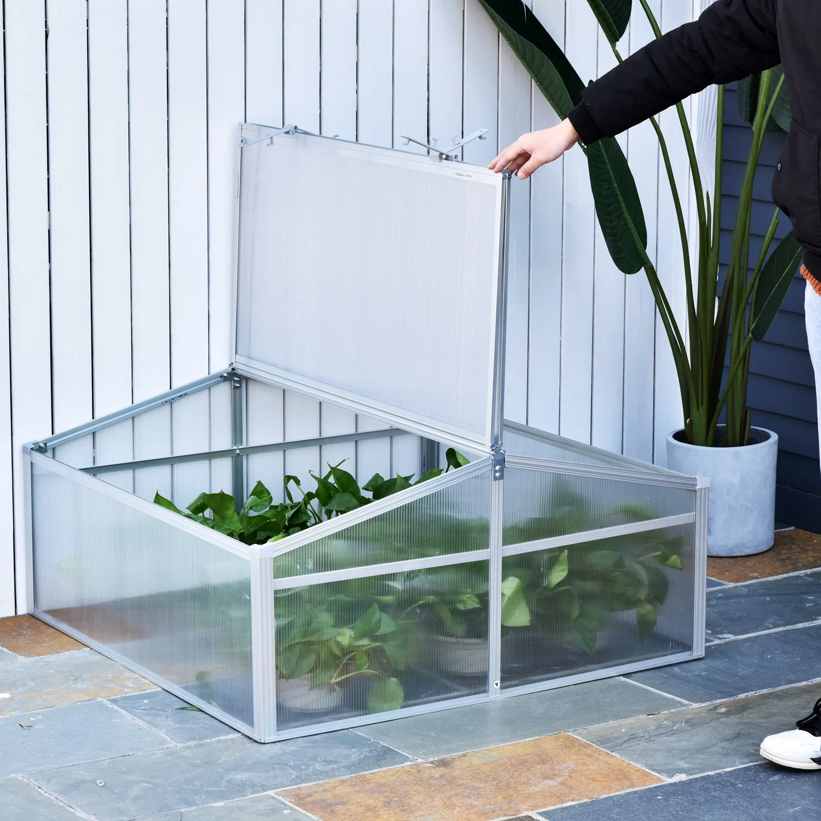 100L x 100W x 48H cm PC Board Greenhouse Adjustable Roof Grow House -Transparent - Image 9