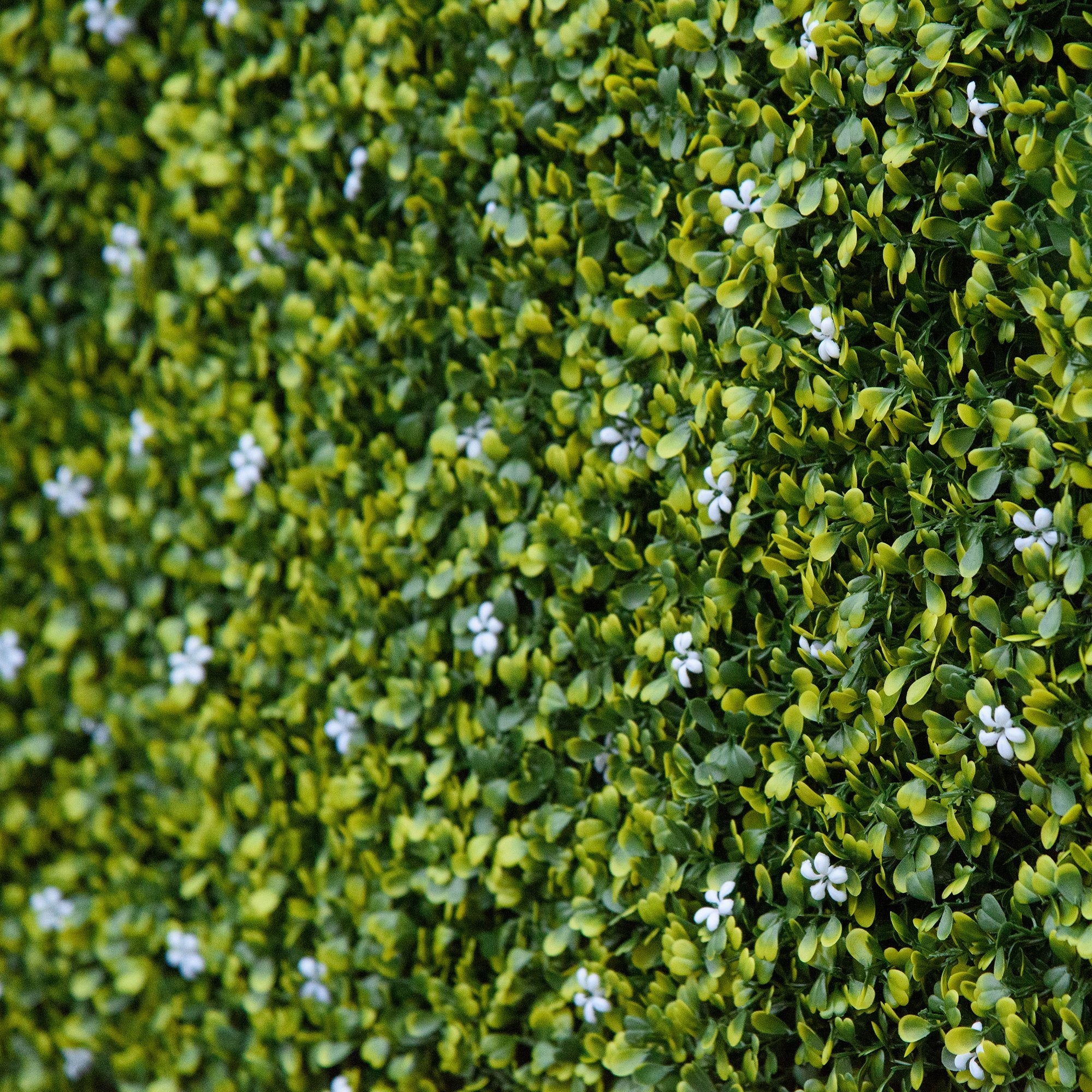 12-Piece 20" x 20" Artificial Boxwood Wall Panel Milan Grass Privacy Fence Screen - Image 8
