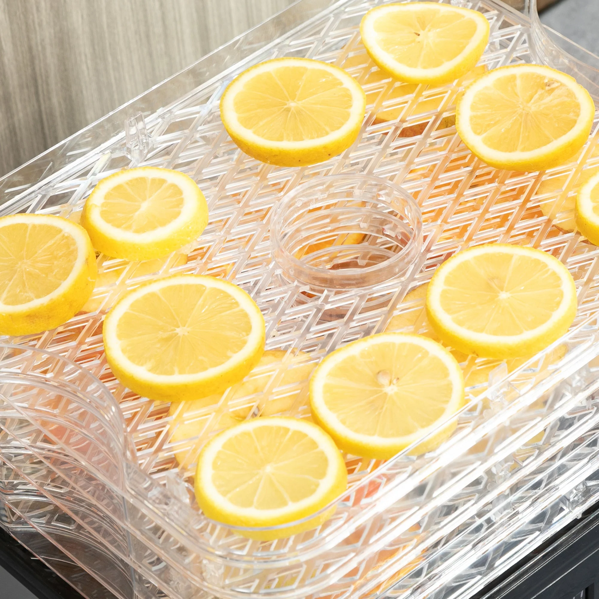 245W 5Kg Five Tray Food Dehydrator With Timer Silver - Image 8