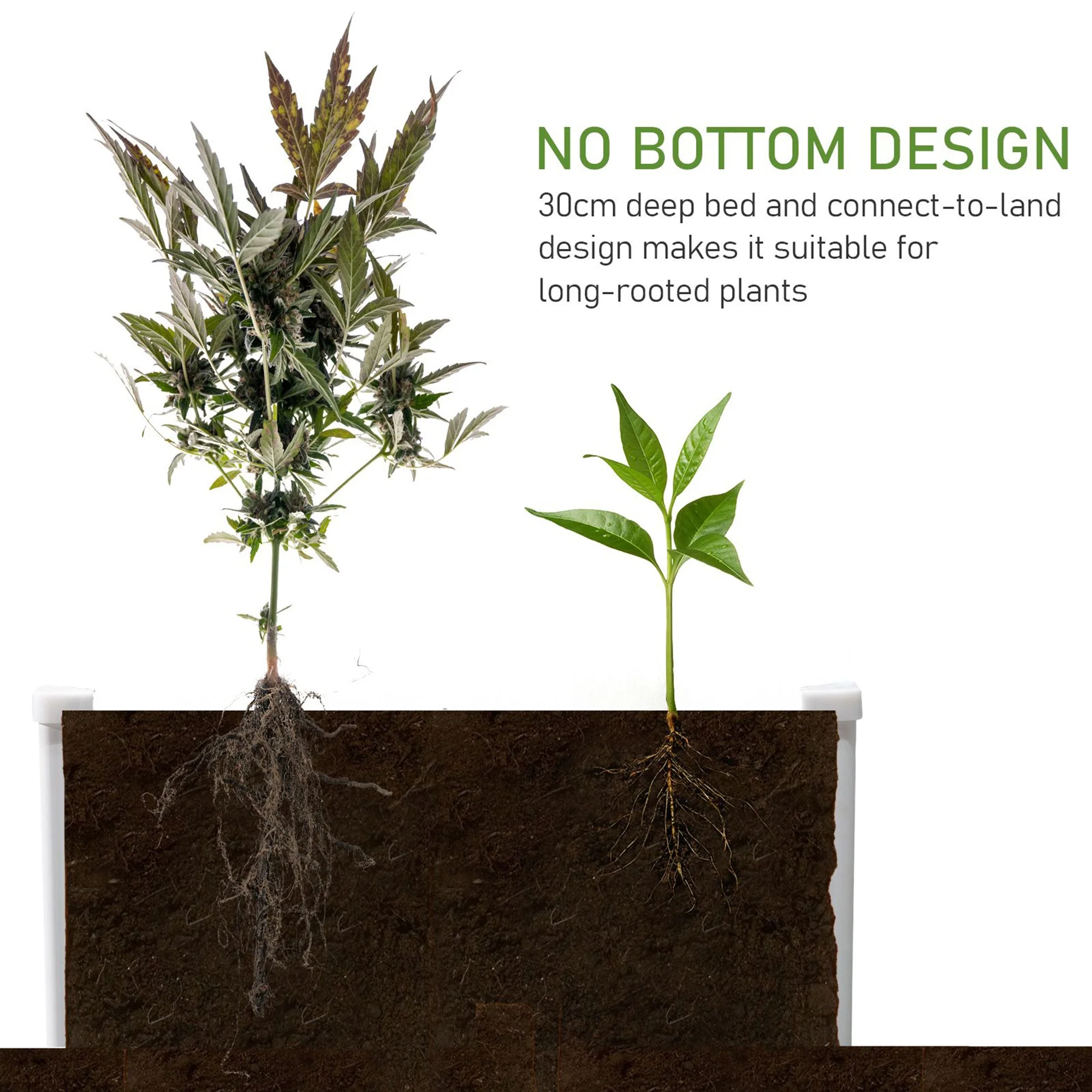 302L Raised Garden Bed - Image 5