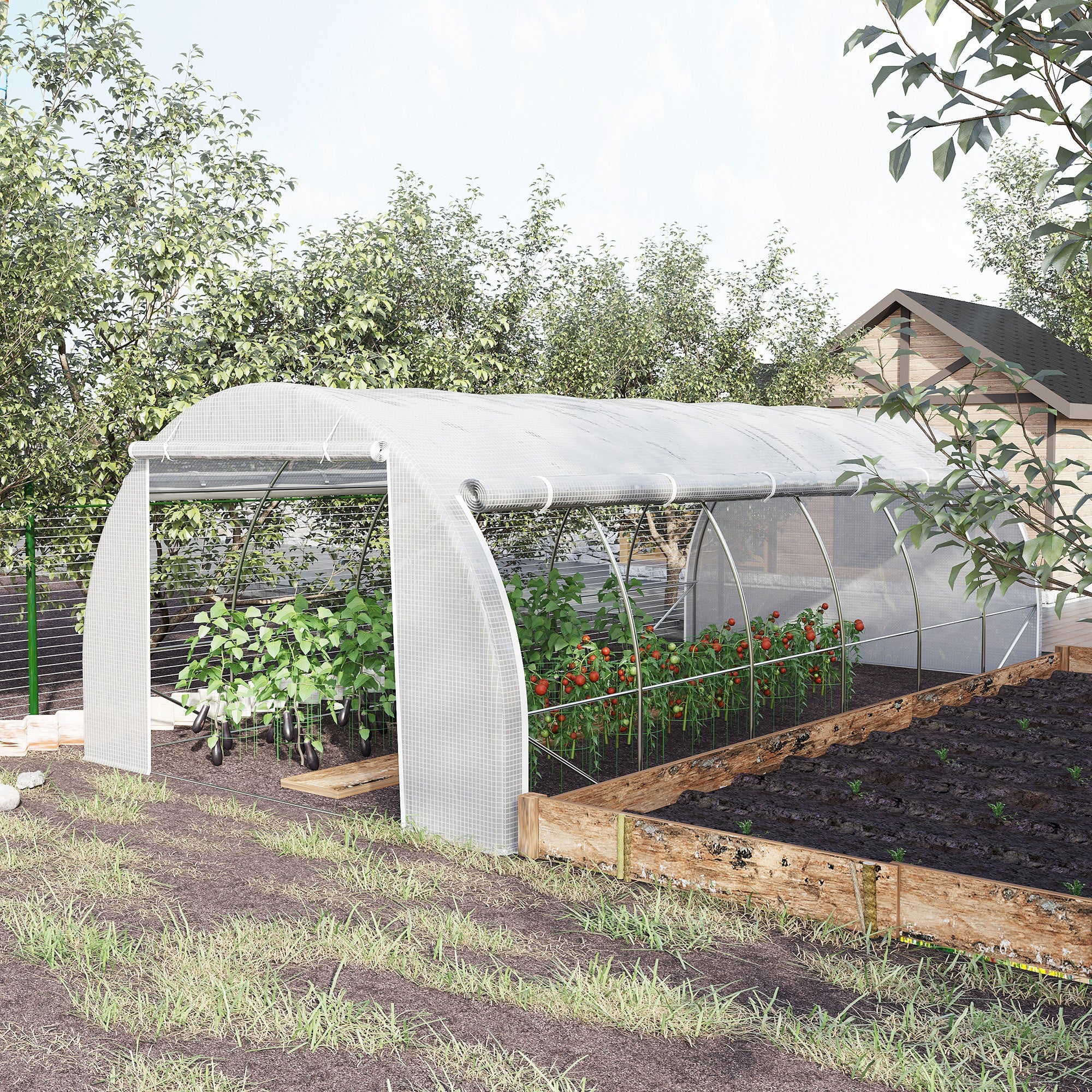 6 x 3 x 2 m Polytunnel Greenhouse - Image 2