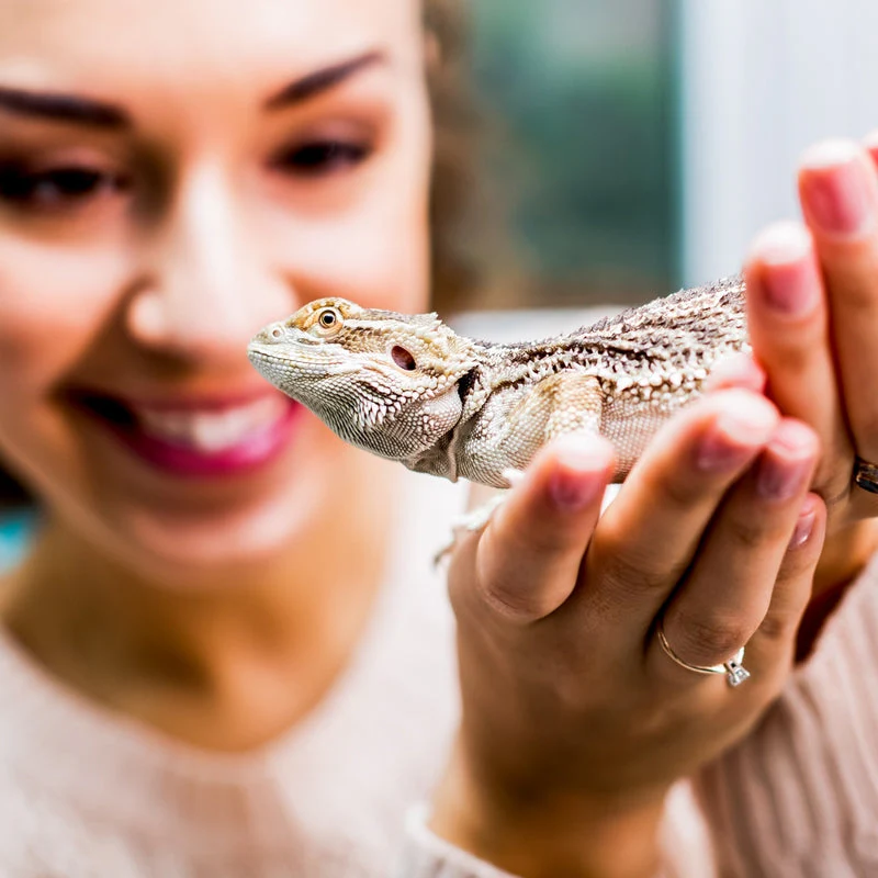 Animal Encounters - Gift Experience - Image 3