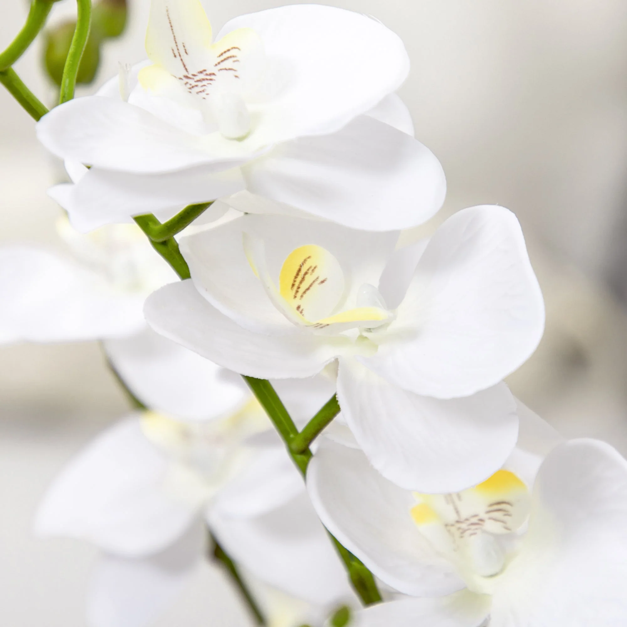 Artificial Orchid Plant in Pot - Image 8