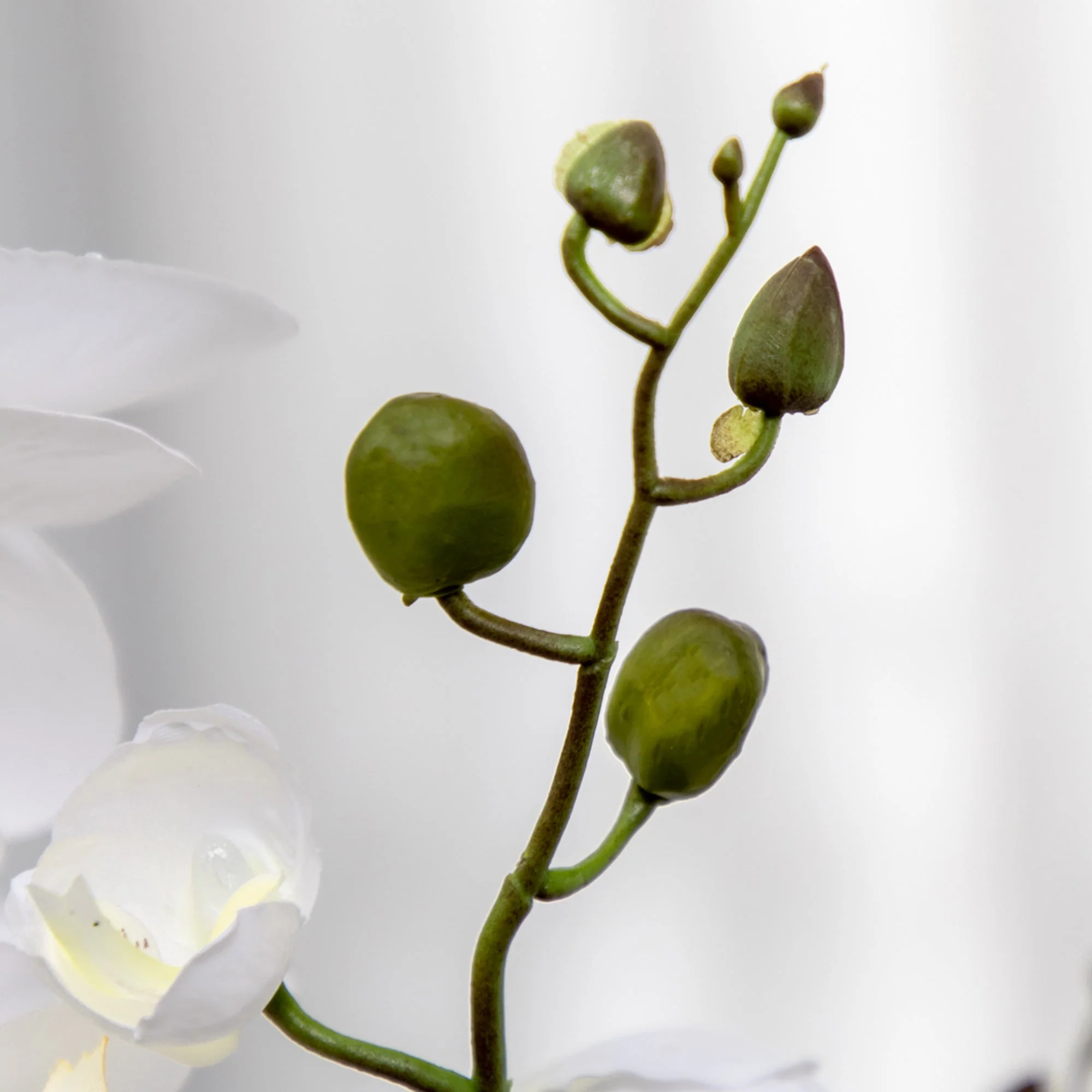 Artificial Orchid Plant in Pot - Image 9