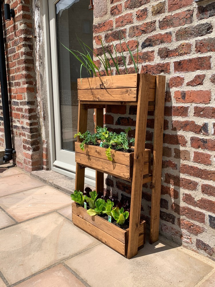 Country Garden Planter by Charles Taylor - Image 2