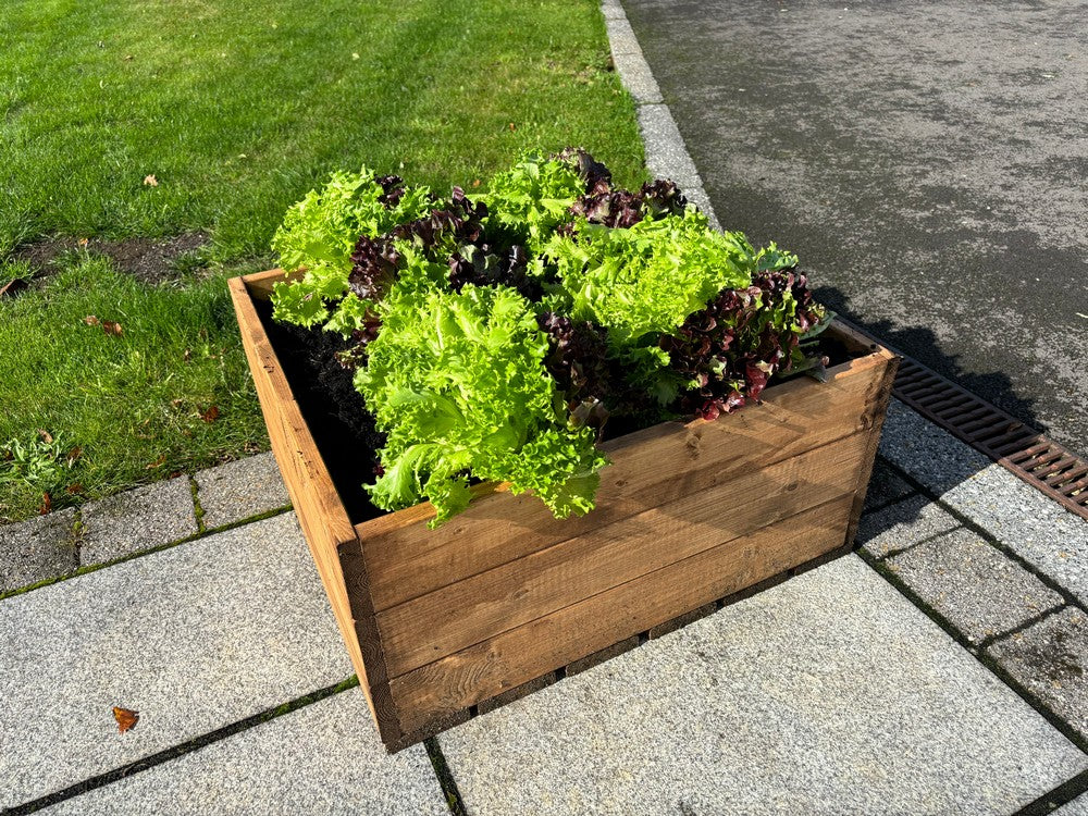 Country Square Garden Planter by Charles Taylor - Image 5