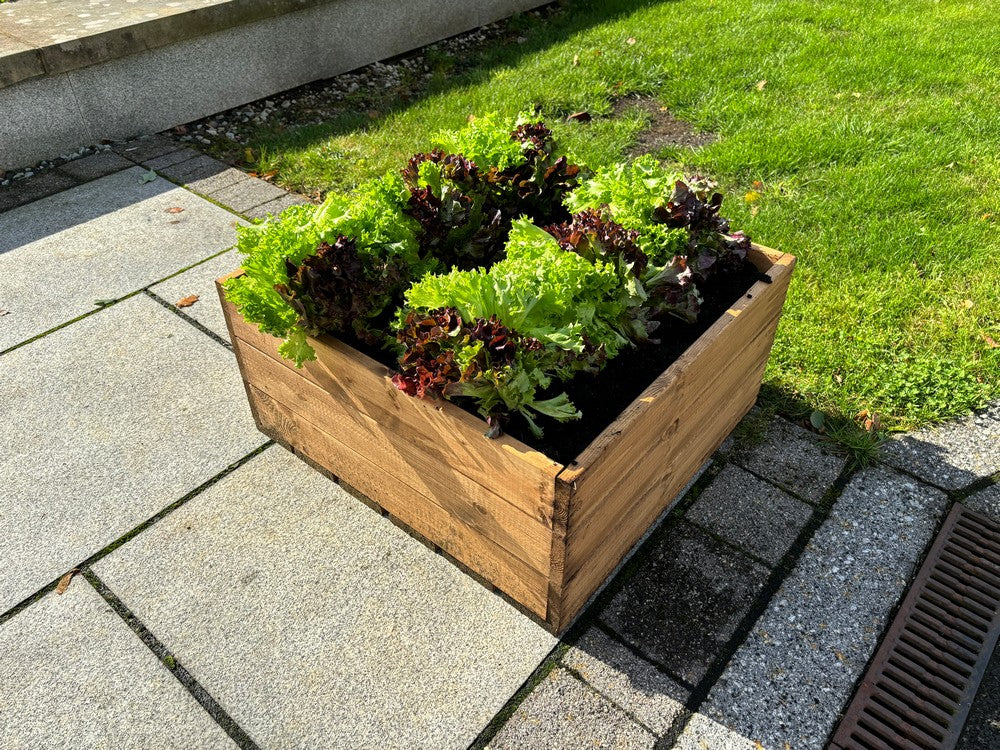 Country Square Garden Planter by Charles Taylor - Image 7