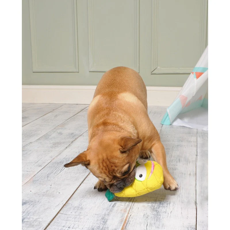 Dog Squeaky Toy Yellow Mesh Fabric 21cm by Ministry of Pets - Image 2