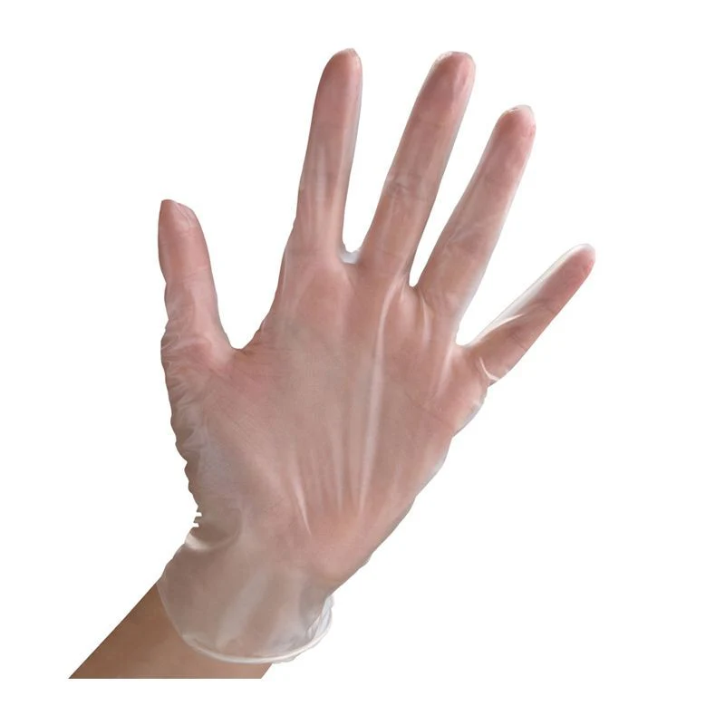 Everyday Disposable Clear Vinyl Gloves - Large 100 per pack - Image 2