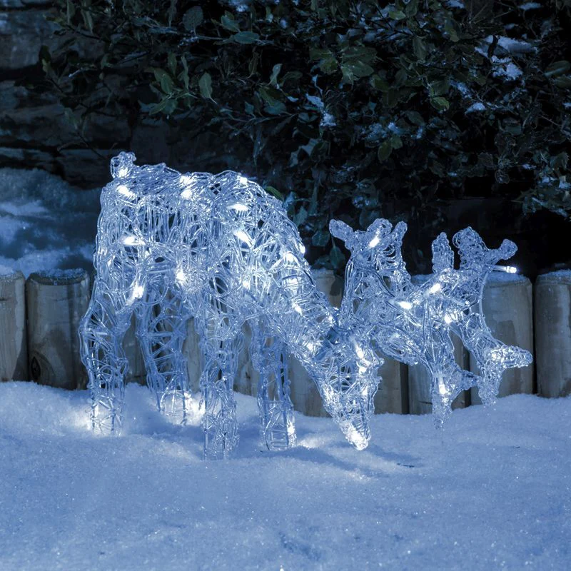 Feature Christmas Light Multifunction White Outdoor 40 LED by Astralis - Image 2