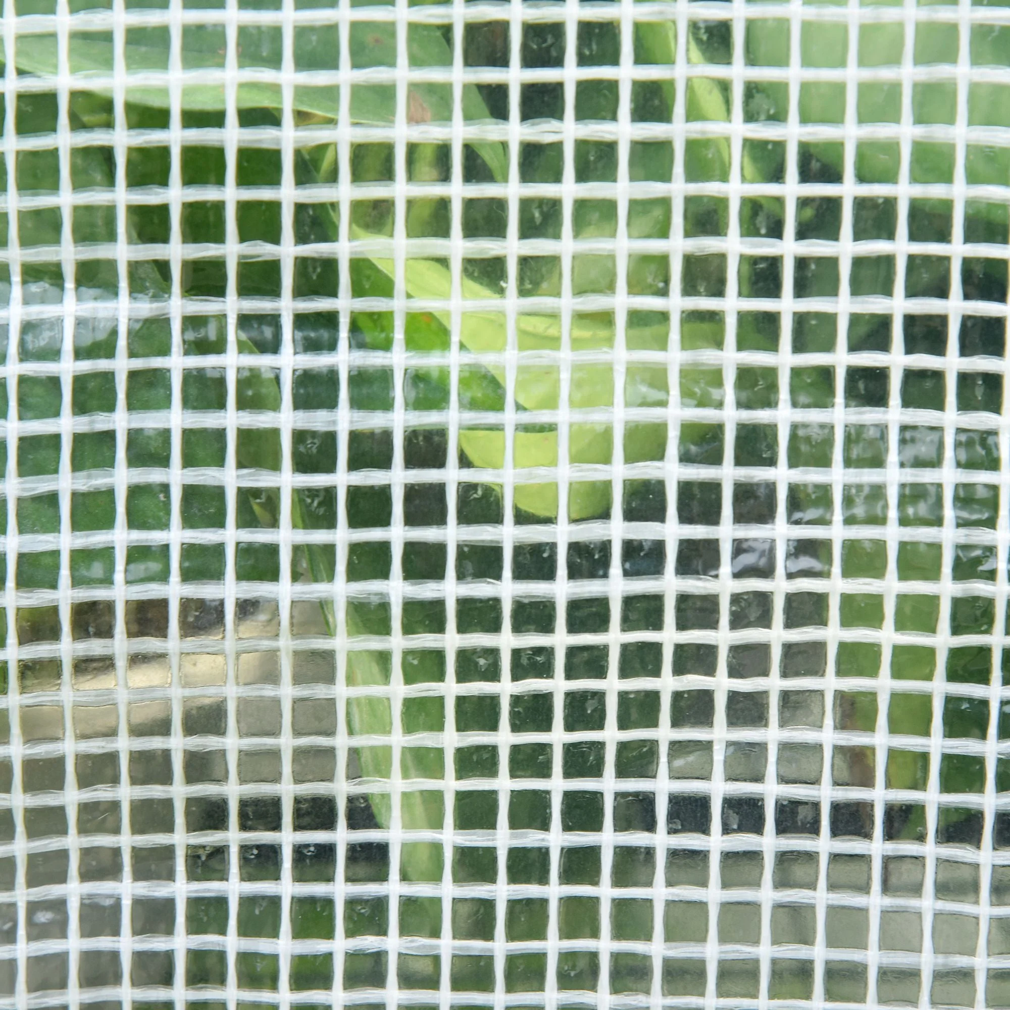 Greenhouse for Outdoor - Image 9