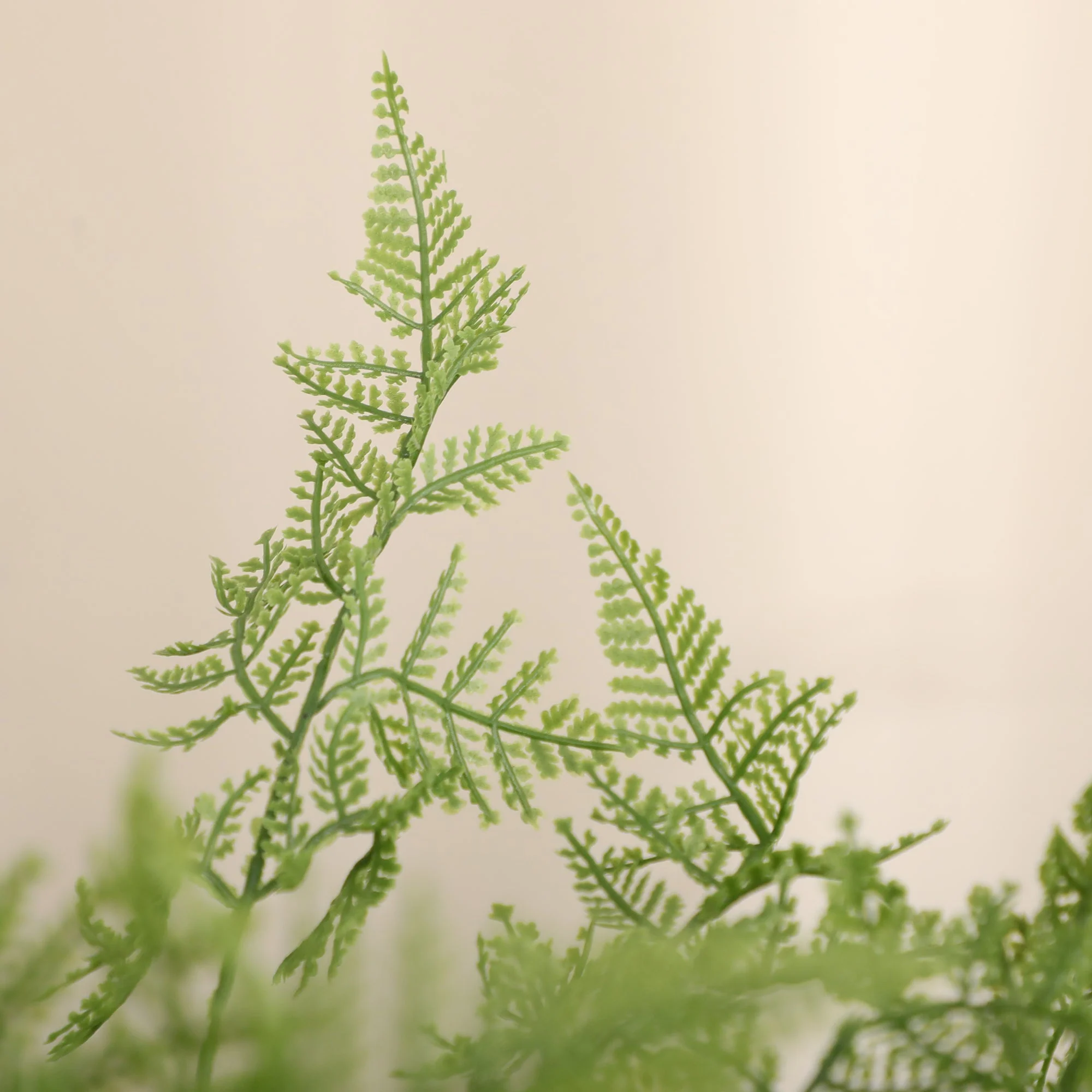 Homcom Decorative Artificial Plants Asparagus Fern Tree In Pot Fake Plants For Home Indoor Outdoor Decor 155cm - Image 8