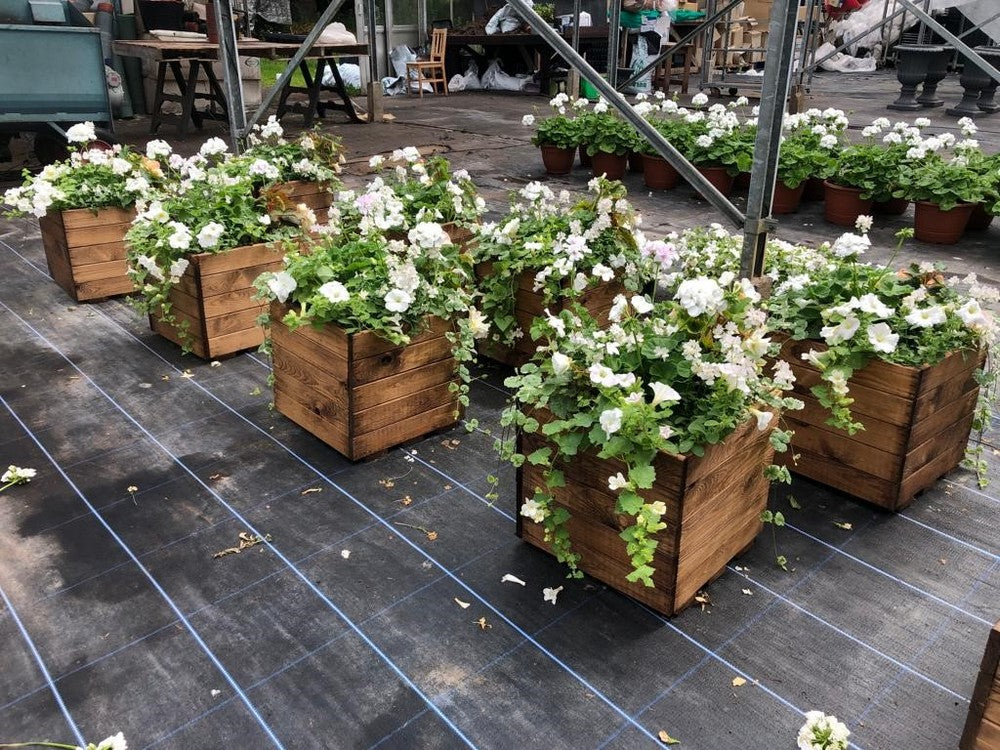 Large Square Scandinavian Redwood Garden Planter - Image 2