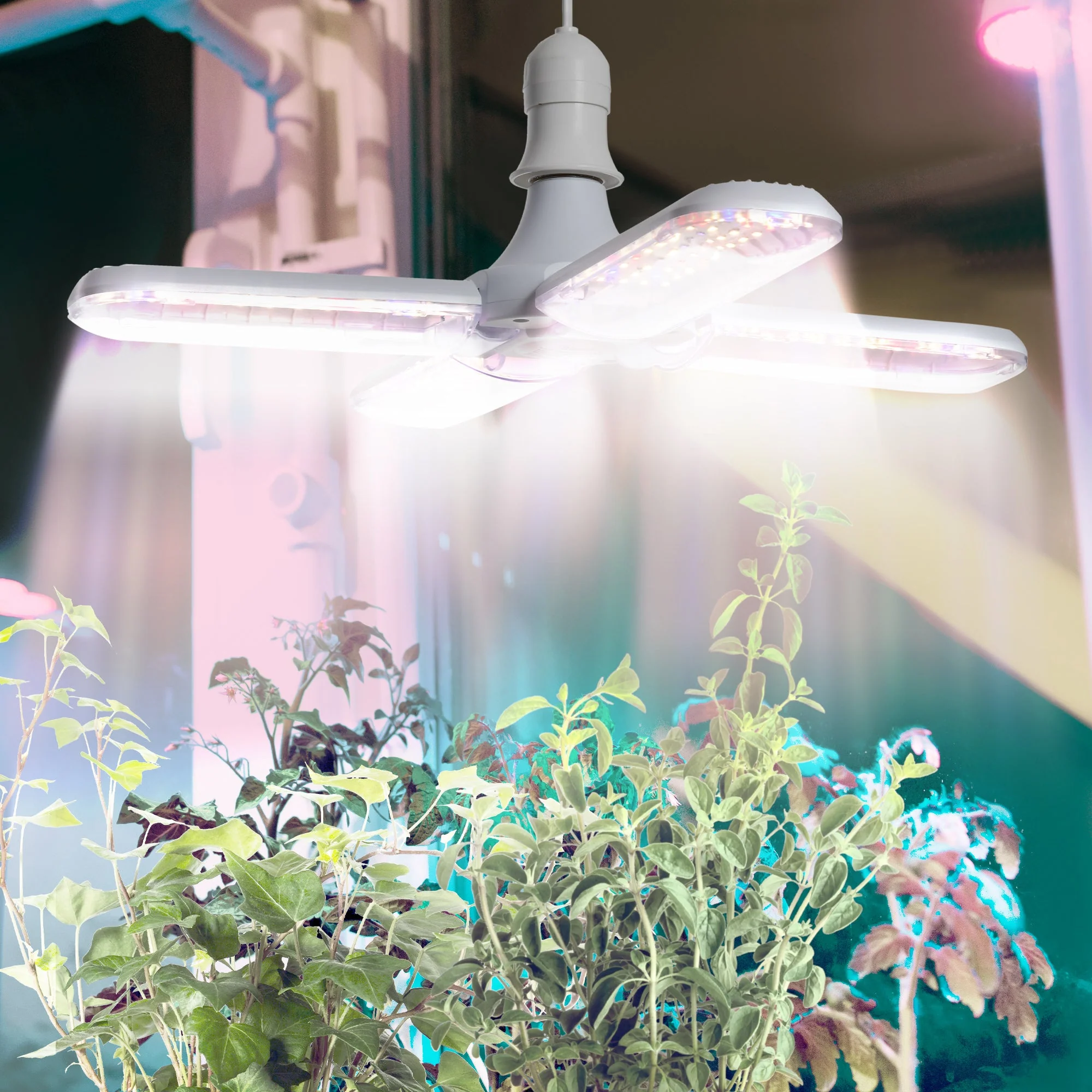 LED Grow Light - Image 2