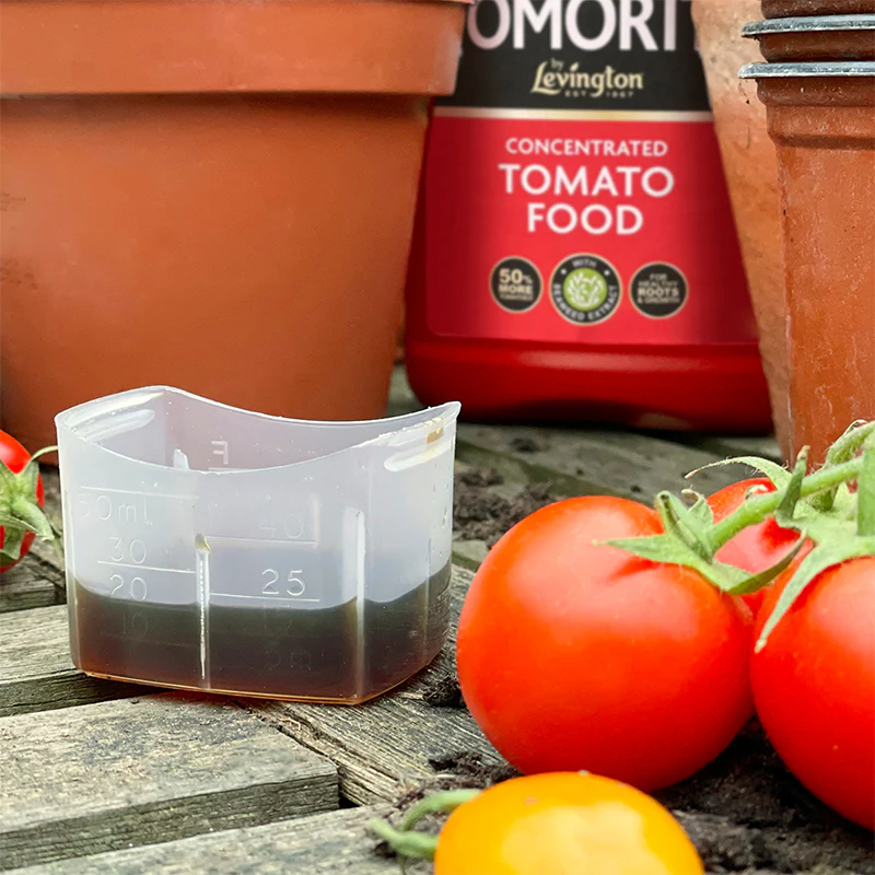 Levington Tomorite 1.2L Tomato Food - Image 2