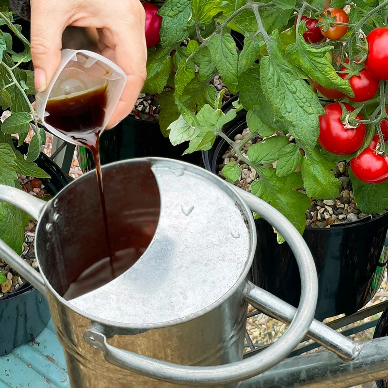 Levington Tomorite 1.2L Tomato Food - Image 3