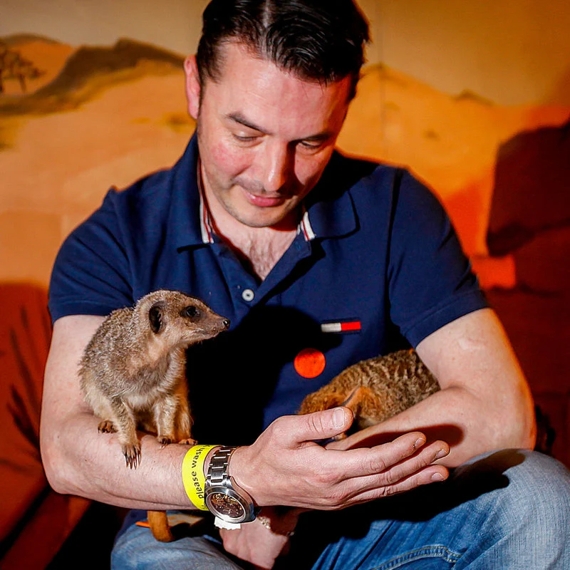 Meet the Meerkats - Gift Experience for Two - Image 2