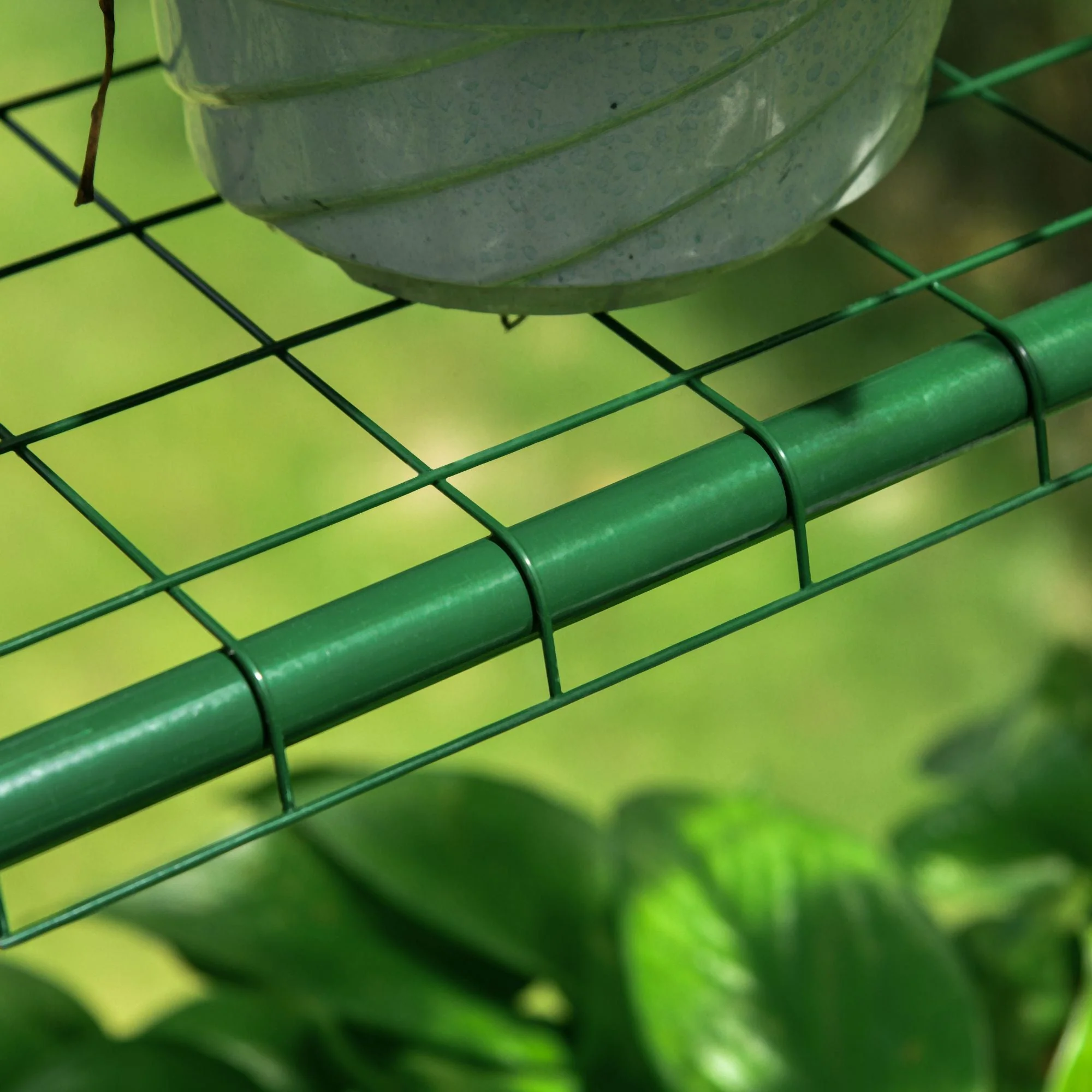 Metal Frame Walk in Grow Herb Plant Portable Greenhouse Transparent 143 L x 143W x 195H cm - Image 9