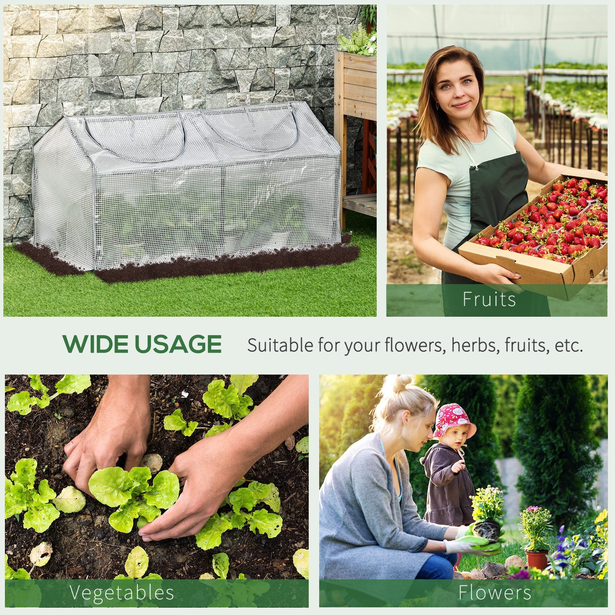 Mini Greenhouse With 2 Windows - Image 6