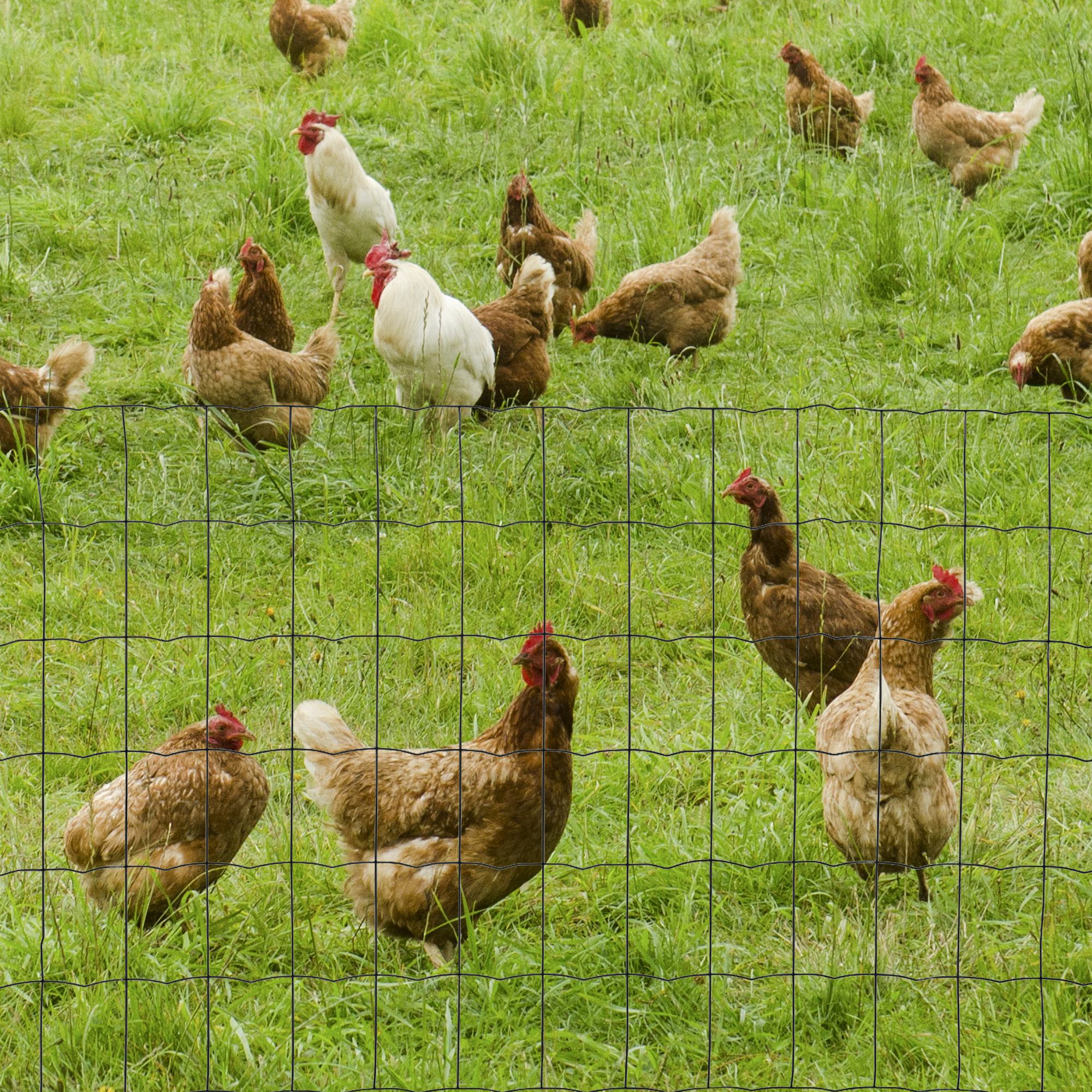 PawHut 0.6M x 10M Chicken Wire Mesh Roll Rabbit Poultry Animal Fence PVC Coated Steel Metal Garden Netting Fencing - Image 2