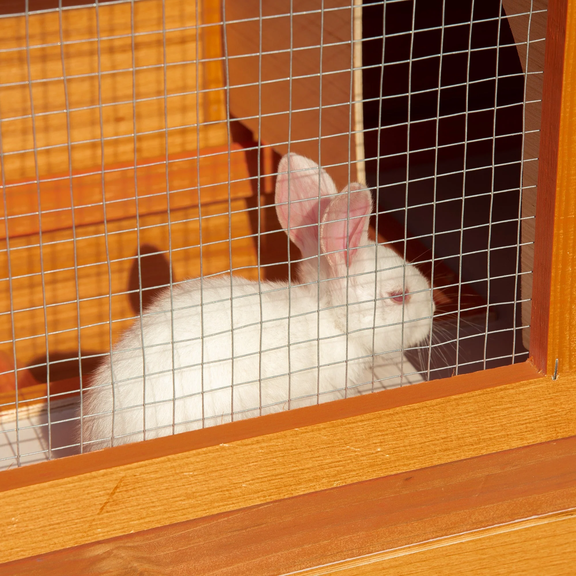 PawHut 2-Tier Rabbit Hutch Wooden Guinea Pig Hutch Double Decker Pet Cage Run with Sliding Tray Opening Top - Image 8