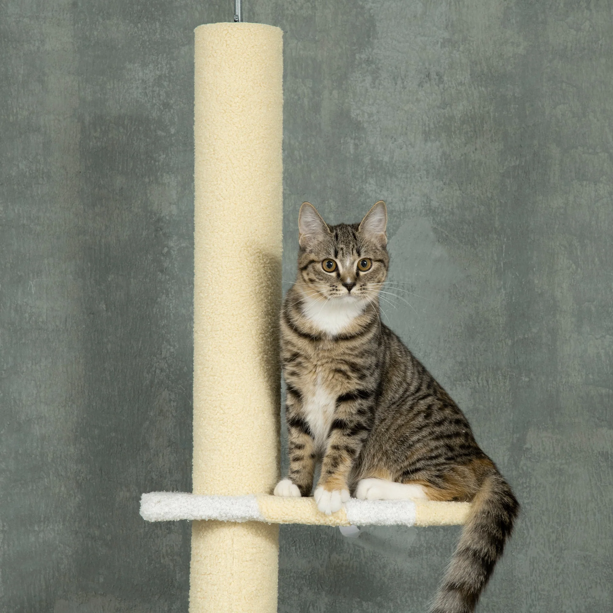 PawHut 260cm Floor to Ceiling Cat Tree - Image 8
