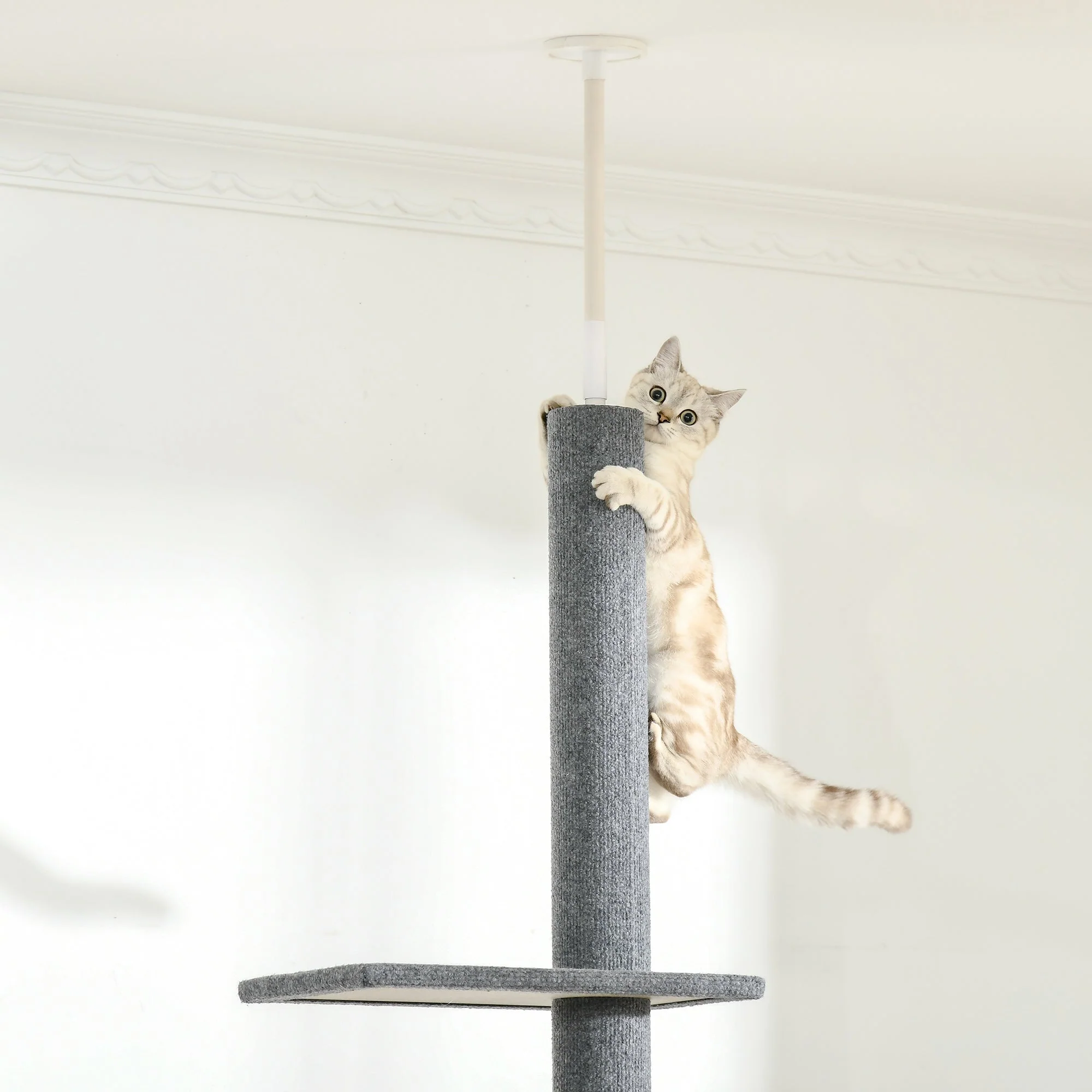 PawHut 260cm Floor To Ceiling Cat Tree Activity Center w/3 Perches Kitten Grey - Image 8
