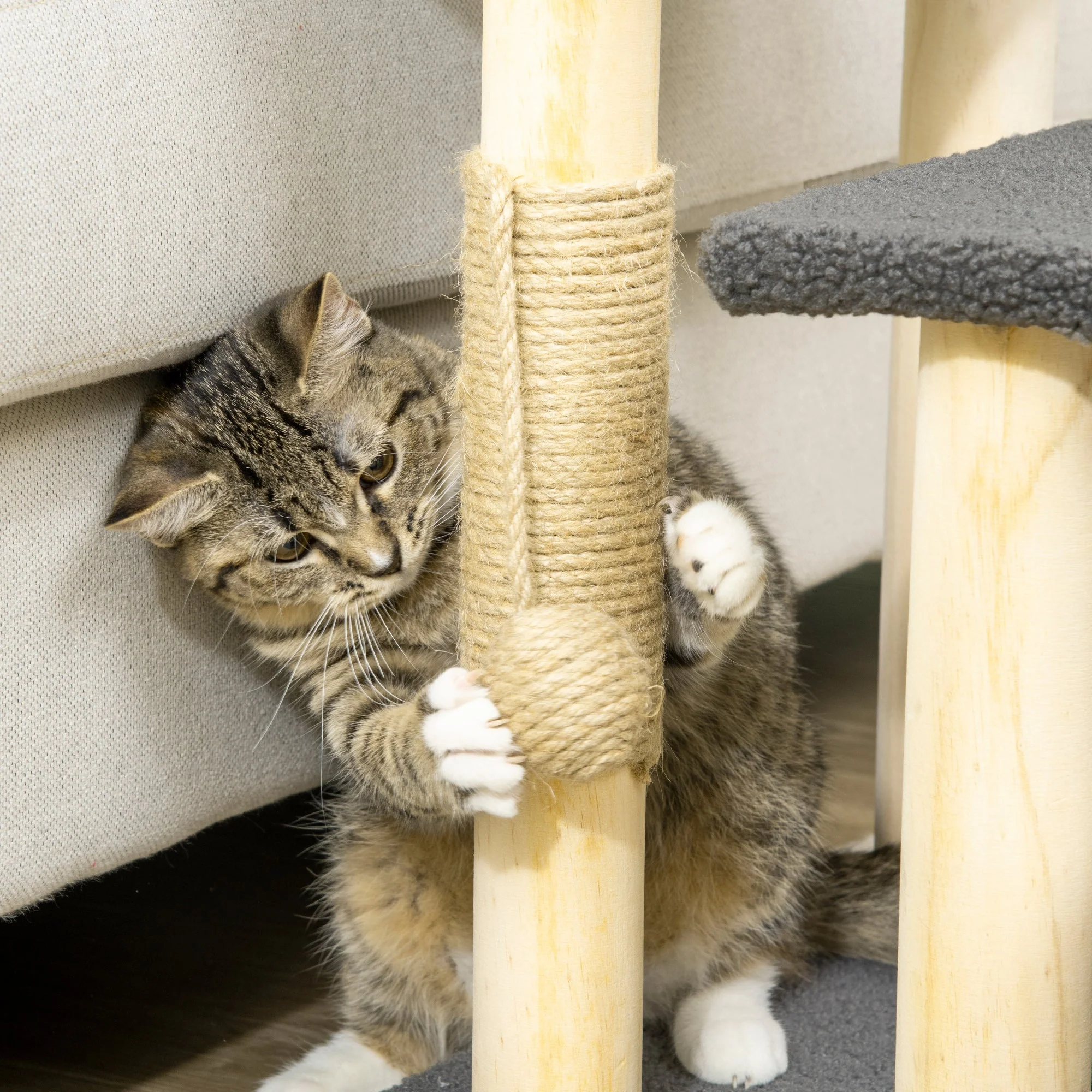 PawHut 48cm Three-Step Cat Tree - Image 9