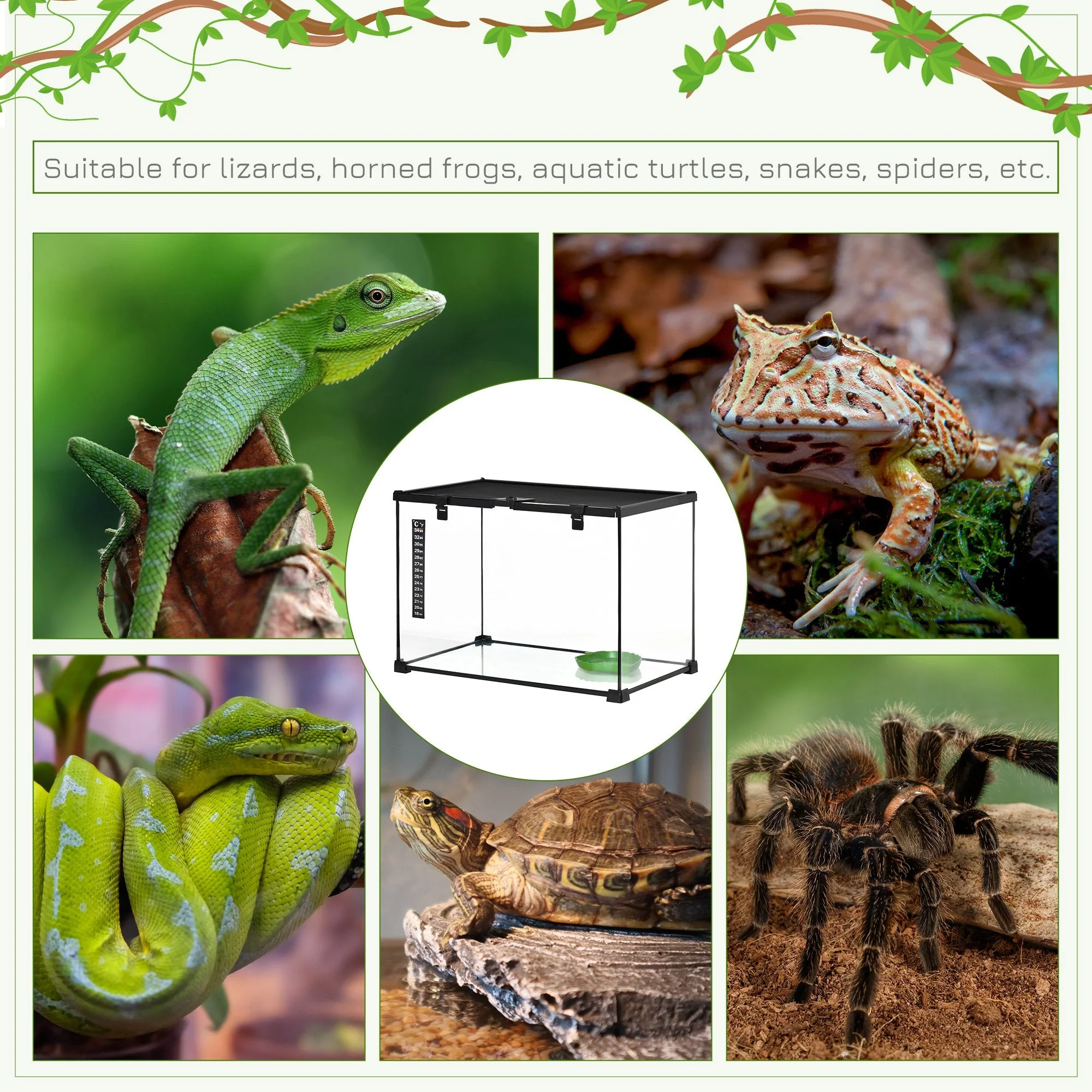Pawhut 50 X 30 X 35 cm Reptile Terrarium For Lizards Horned Frogs Snakes Black - Image 7