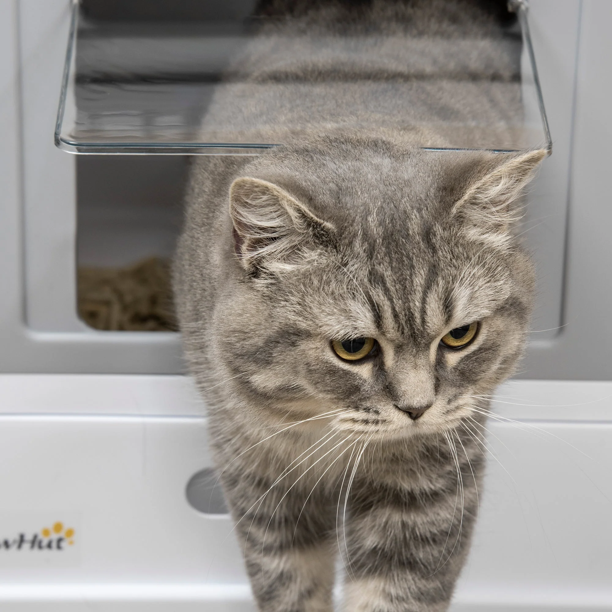 PawHut Hooded Cat Litter Box Scoop Included - Image 4