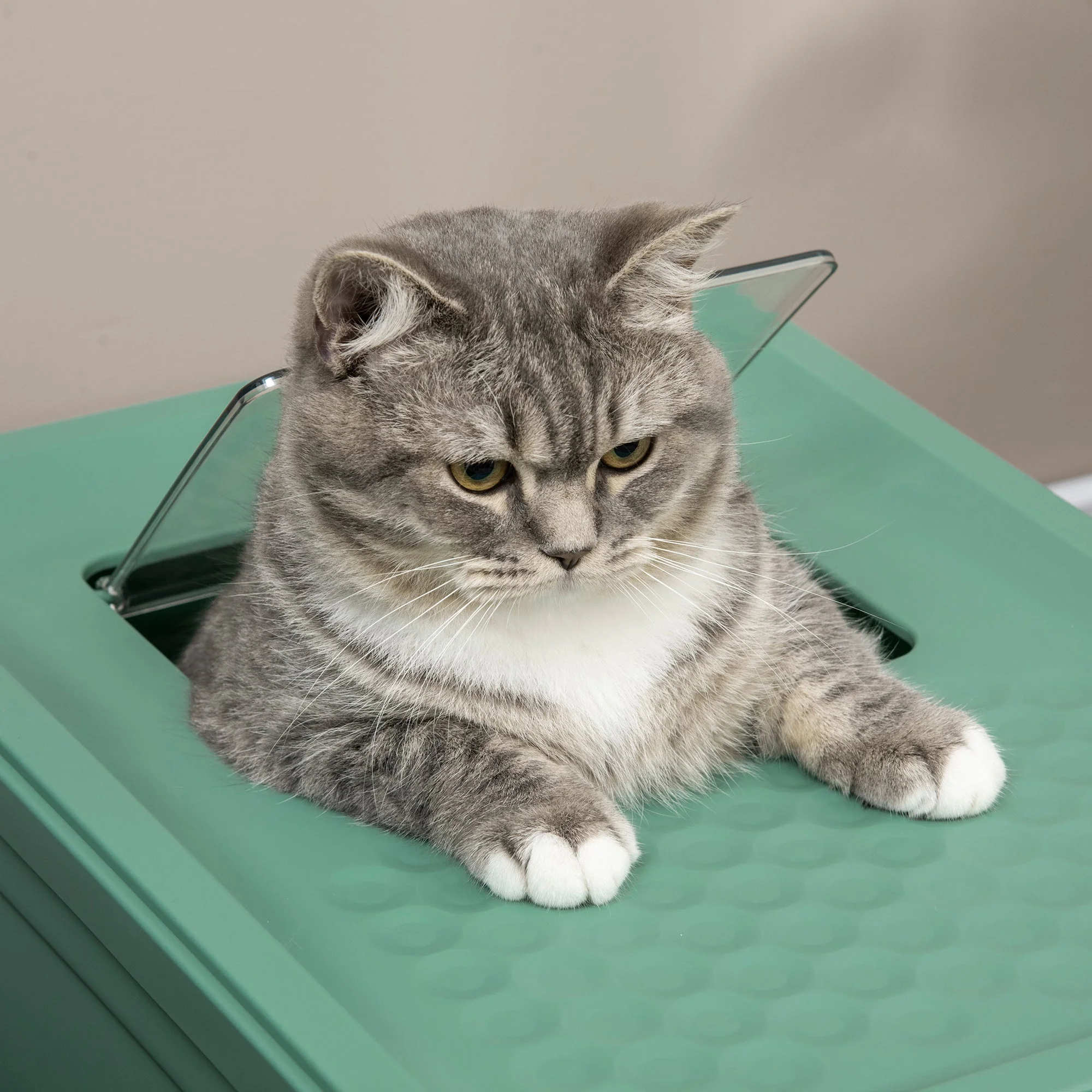 PawHut Hooded Cat Litter Box Scoop Included - Image 8