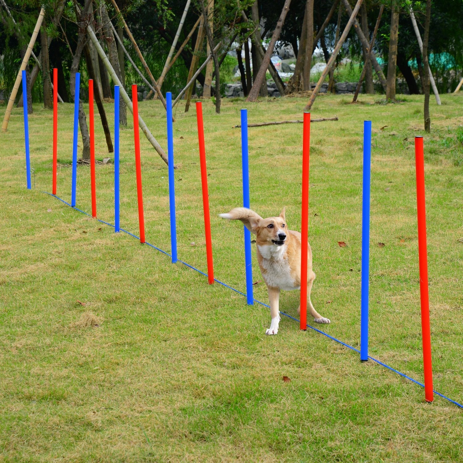 PawHut Pet Agility Training Run/Jump Set - Image 3