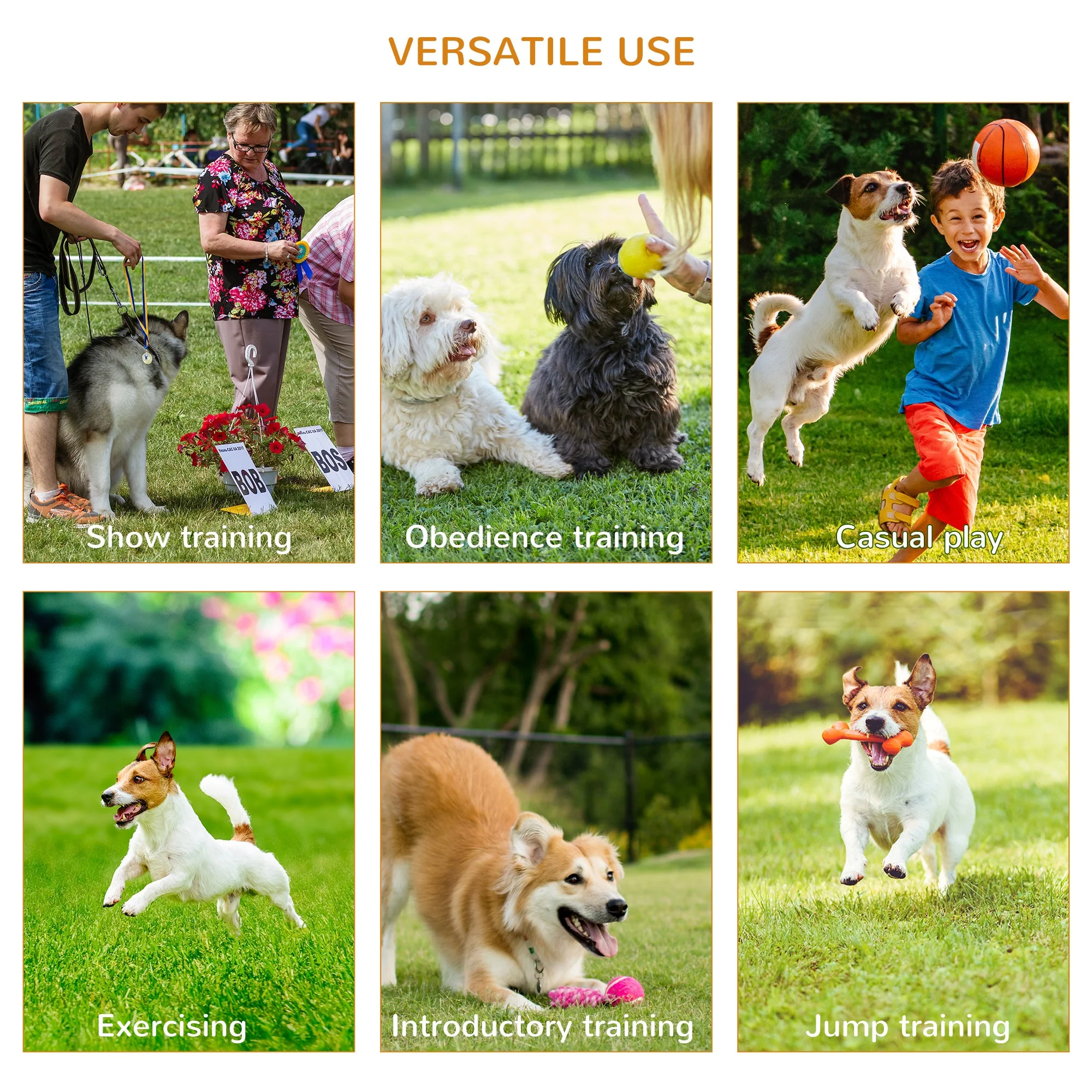 Pawhut Portable Pet Agility Training Obstacle Set For Dogs W/ Adjustable High Jumping Pole - Image 5