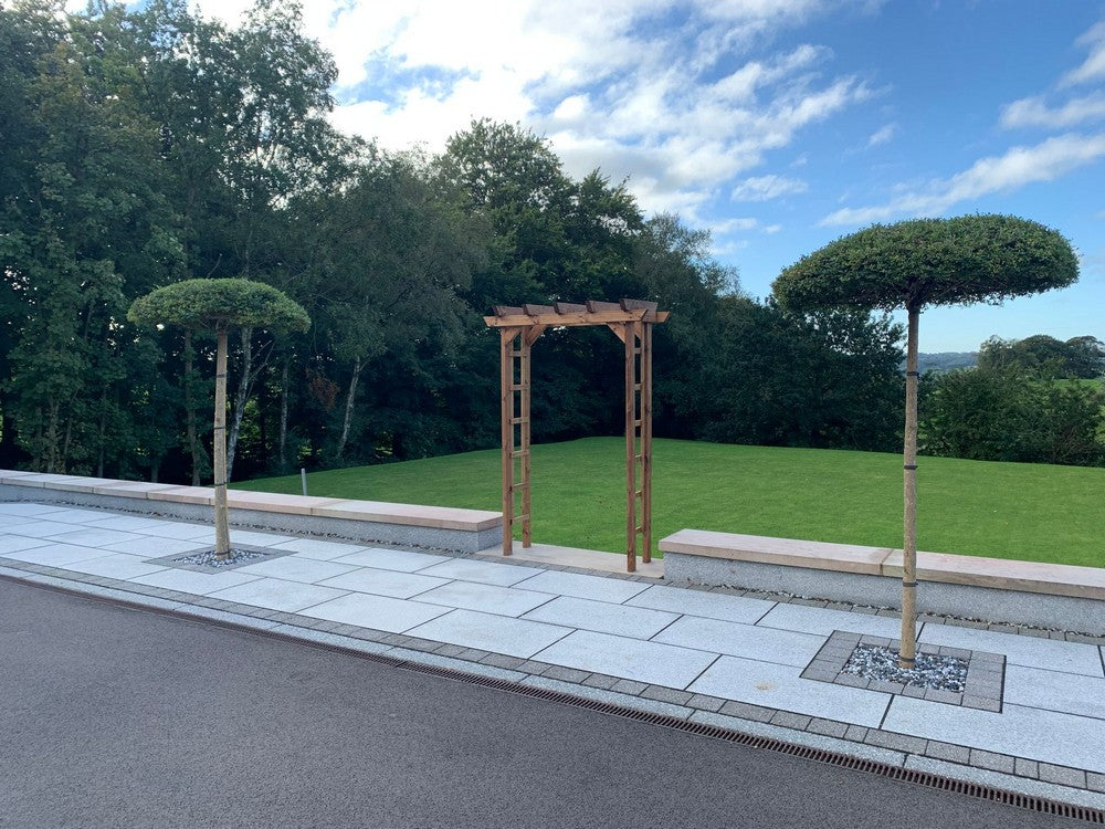 Scandinavian Redwood Garden Arch by Charles Taylor - Image 3