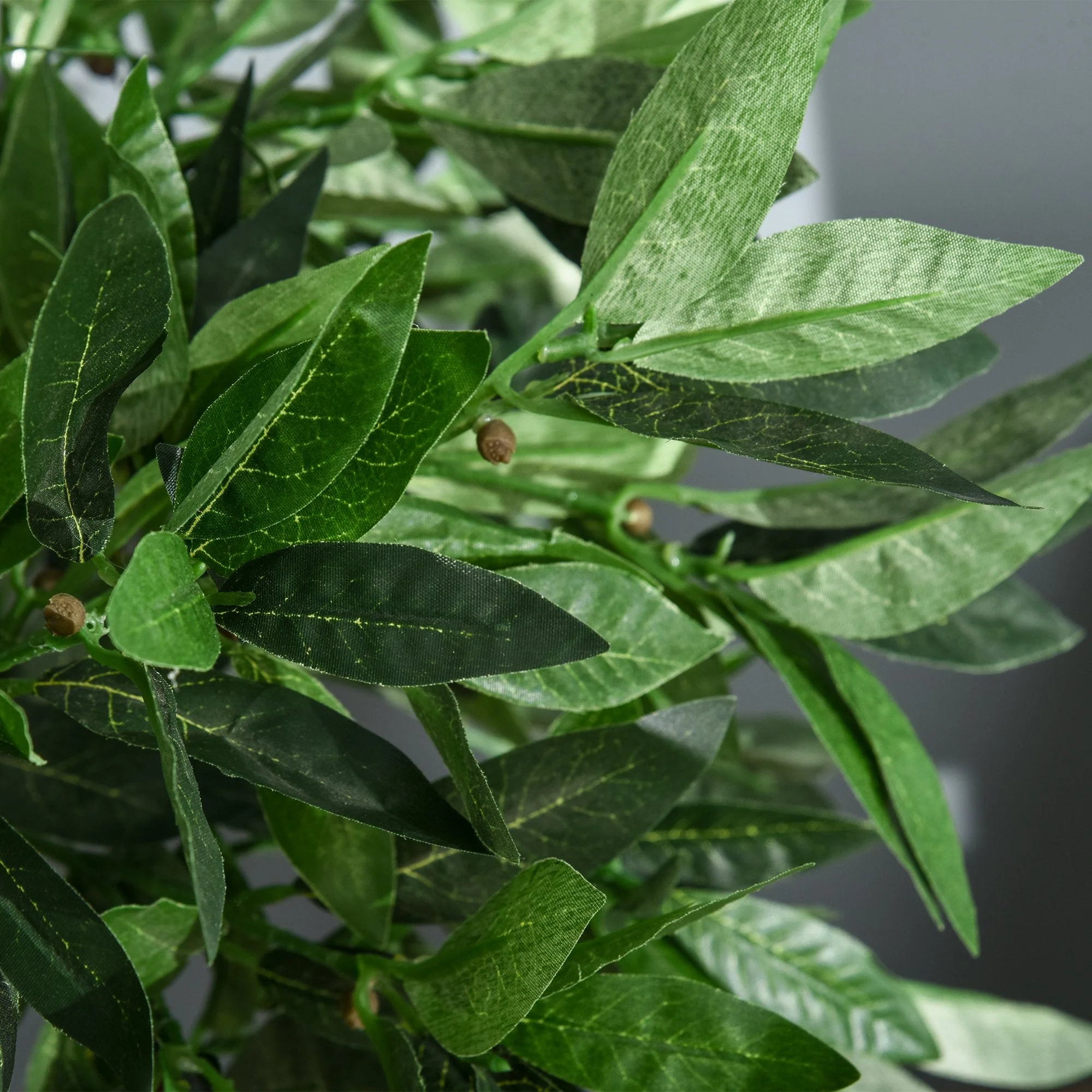 Set of 2 Artificial Bay Laurel Trees - Image 7