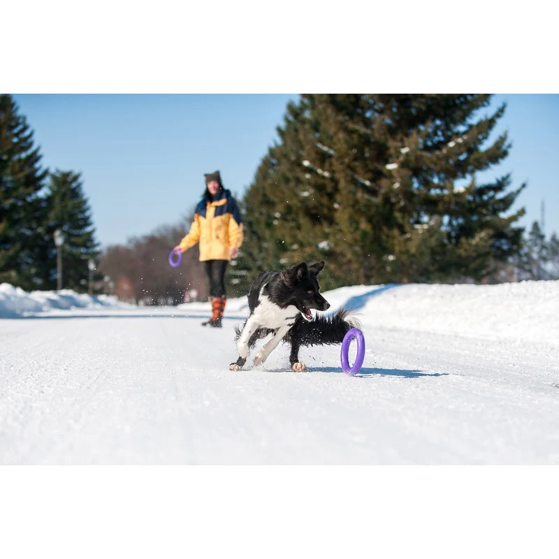 Small Dog Frisbee Purple Plastic 20cm by PULLER - Image 2