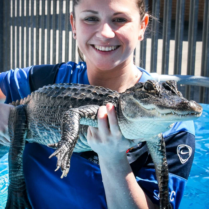 Swimming with Crocodiles for Two And Lunch - Gift Experience - Image 2