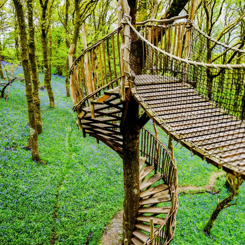 Two Night Snowdonia Treehouse Escape - Gift Experience for Two - Image 4