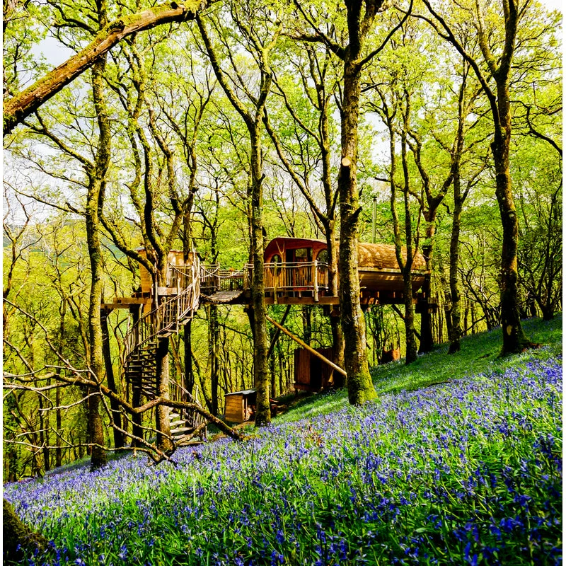 Two Night Snowdonia Treehouse Escape - Gift Experience for Two - Image 5