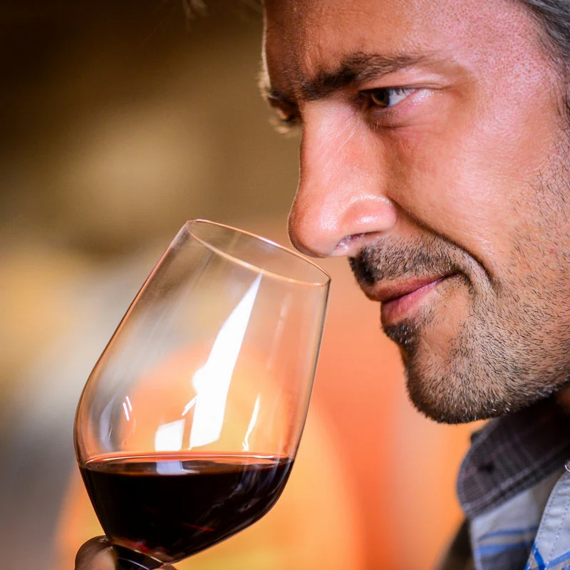 Vineyard Tour & Tastings - Gift Experience - Image 5