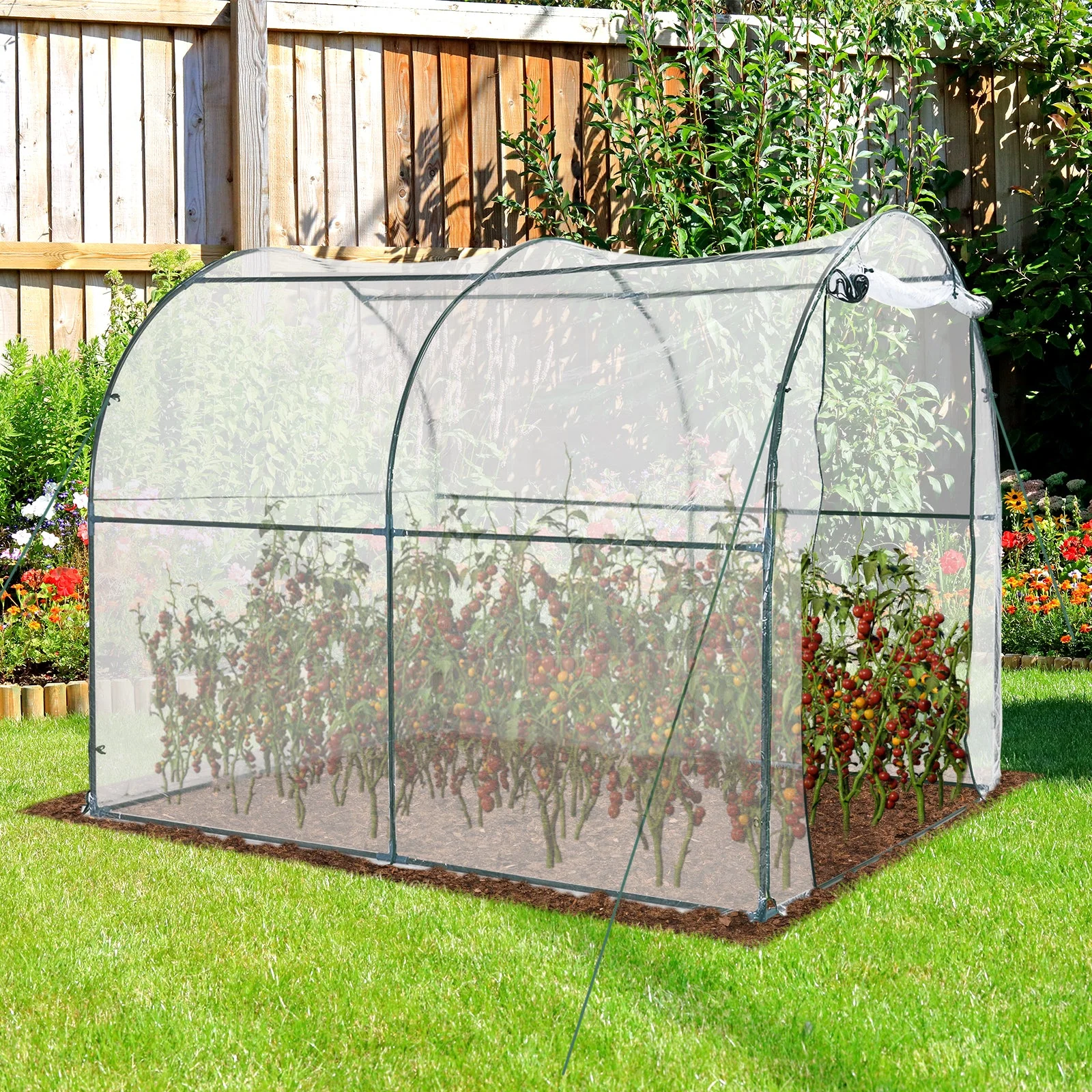 Walk-in Polytunnel Greenhouse with Roll-up Door Transparent Tunnel Greenhouse with Steel Frame and PVC Cover - Image 2