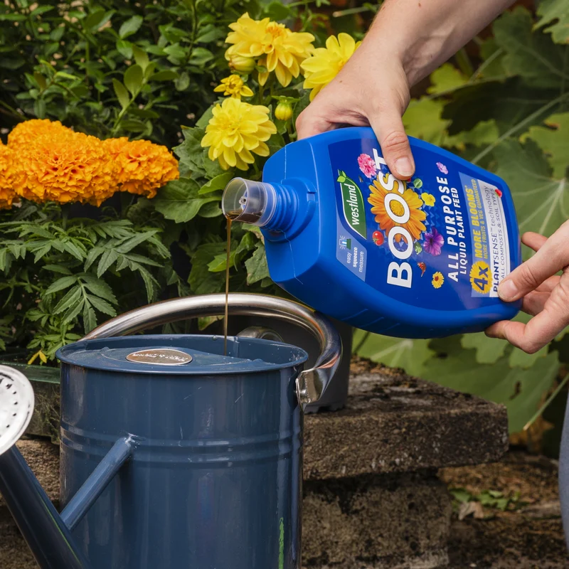 Westland Boost All Purpose Liquid Plant Feed - 1 litre - Image 2