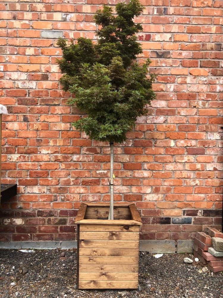 Windsor Garden Planter by Charles Taylor - Image 2